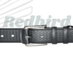 stylish Belt