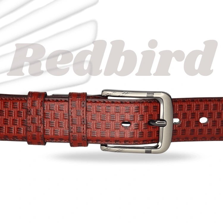 49537-1.jpg Stylish Belt (premium) - Image 1